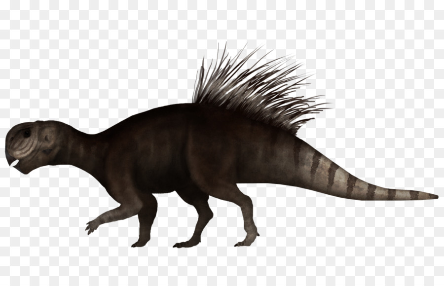 Dinosaurus，Prasejarah PNG