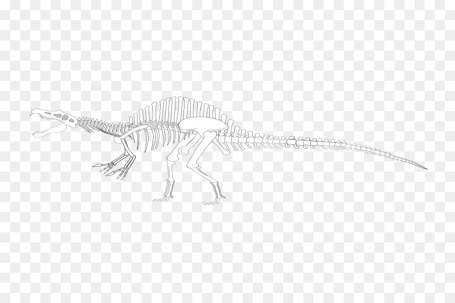 Spinosaurus，Tyrannosaurus PNG