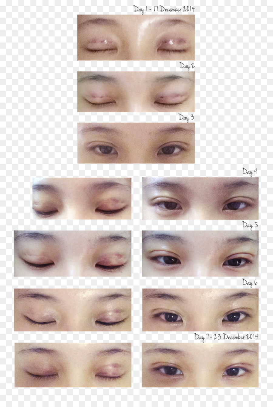 Ekstensi Bulu Mata，Eye Shadow PNG