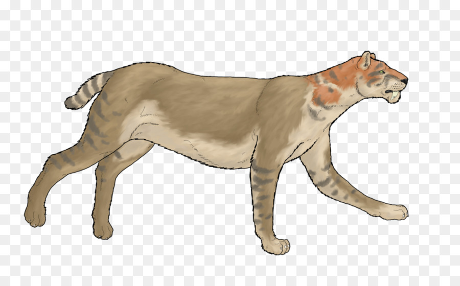 Singa，Kucing Besar PNG