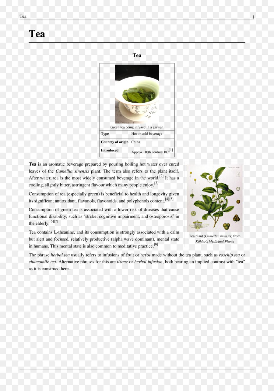 Teh，Camellia Sinensis PNG