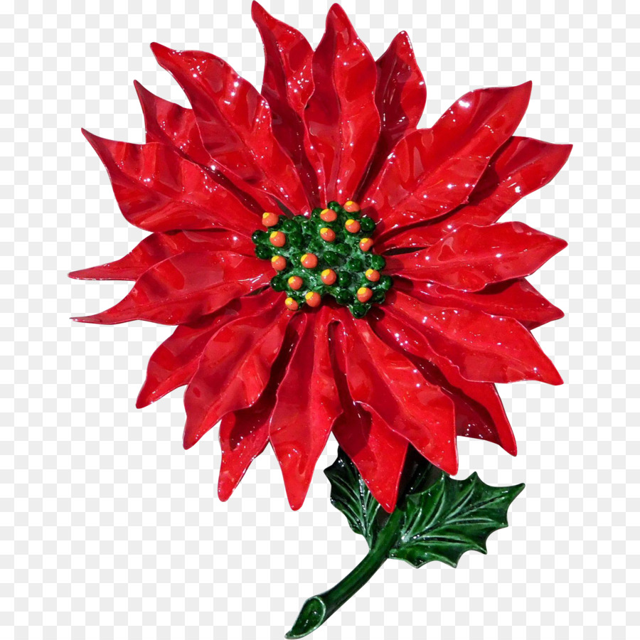 Dahlia，Poinsettia PNG