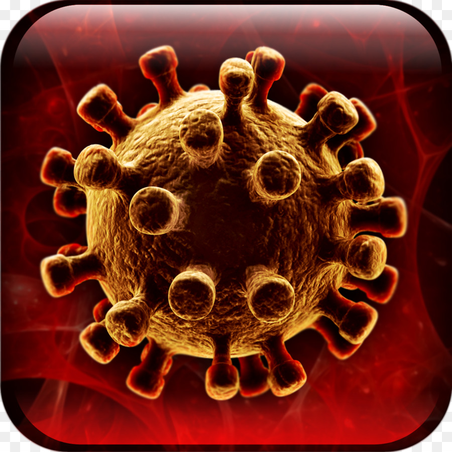 Virus，Mikroorganisme PNG