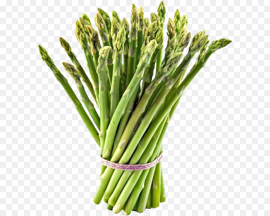 Asparagus，Hijau PNG