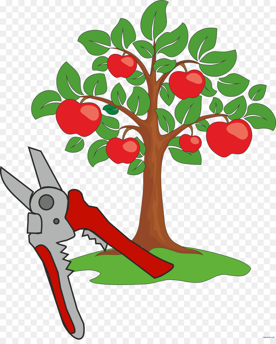 Apple，Pohon PNG