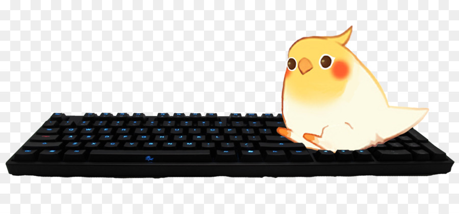 Burung，Laptop PNG