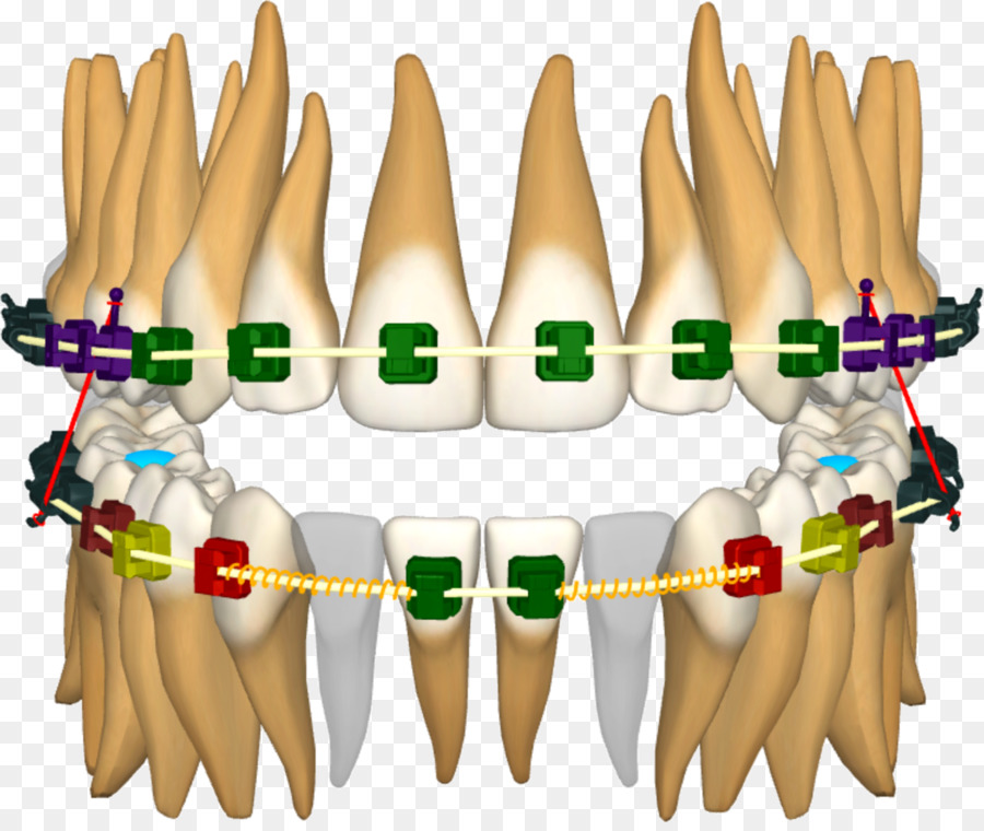 Kuku，Model Tangan PNG