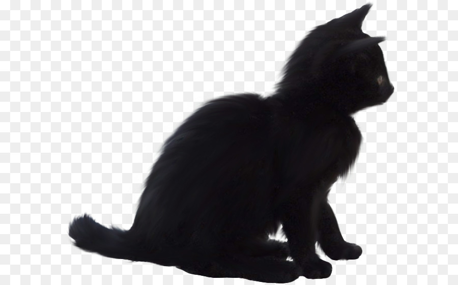 Kucing Hitam，Bulu PNG