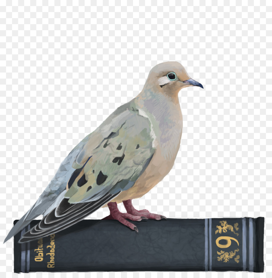 Hatoful Pacar，Homing Pigeon PNG