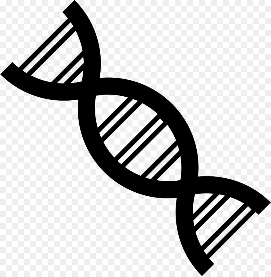 Dna，Genetika PNG