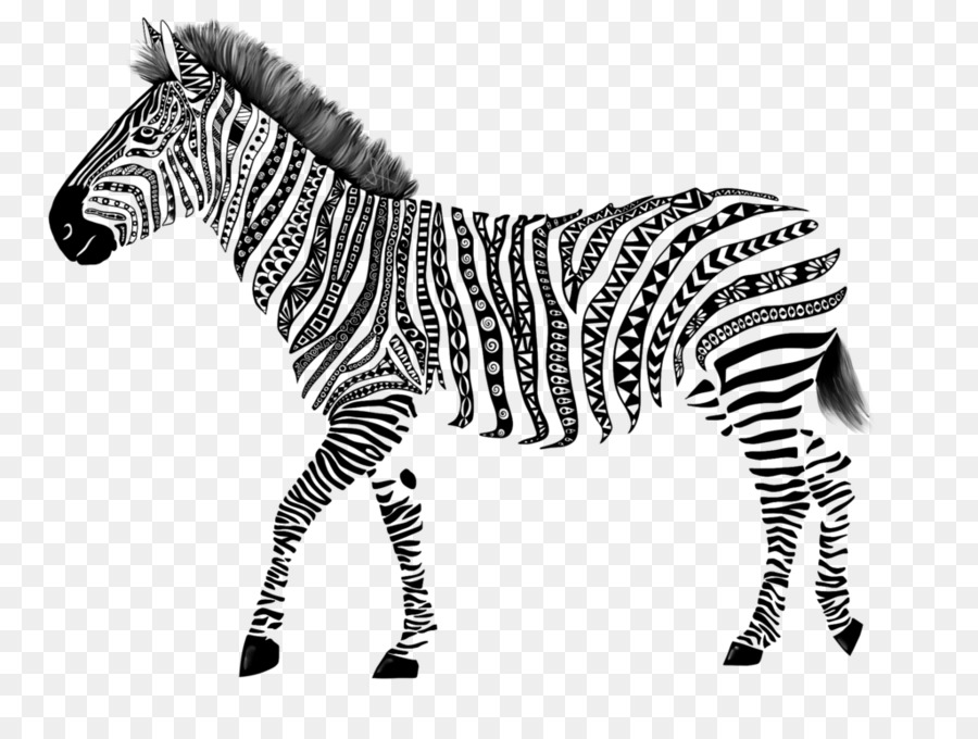 Zebra Berwarna Warni，Garis Garis PNG