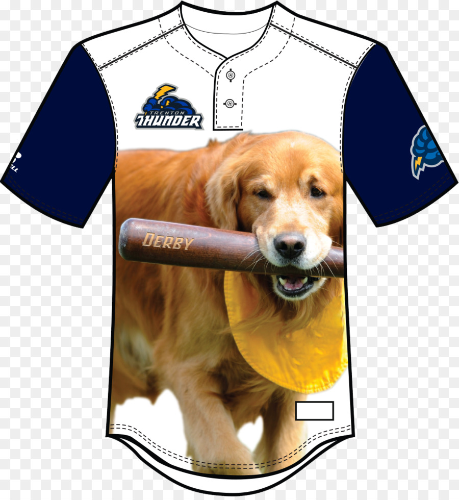 Golden Retriever，Trenton Thunder PNG