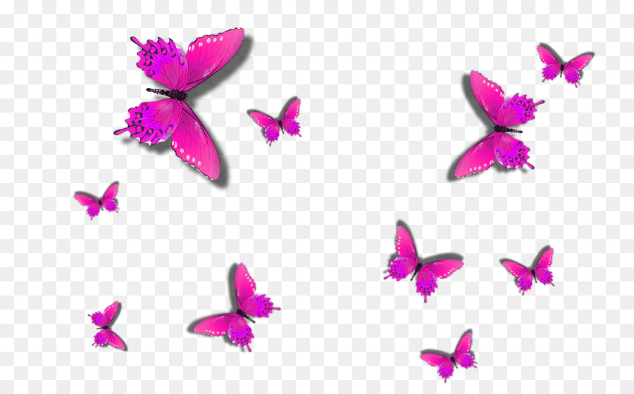 Kupu Kupu，Papilio Ulysses PNG