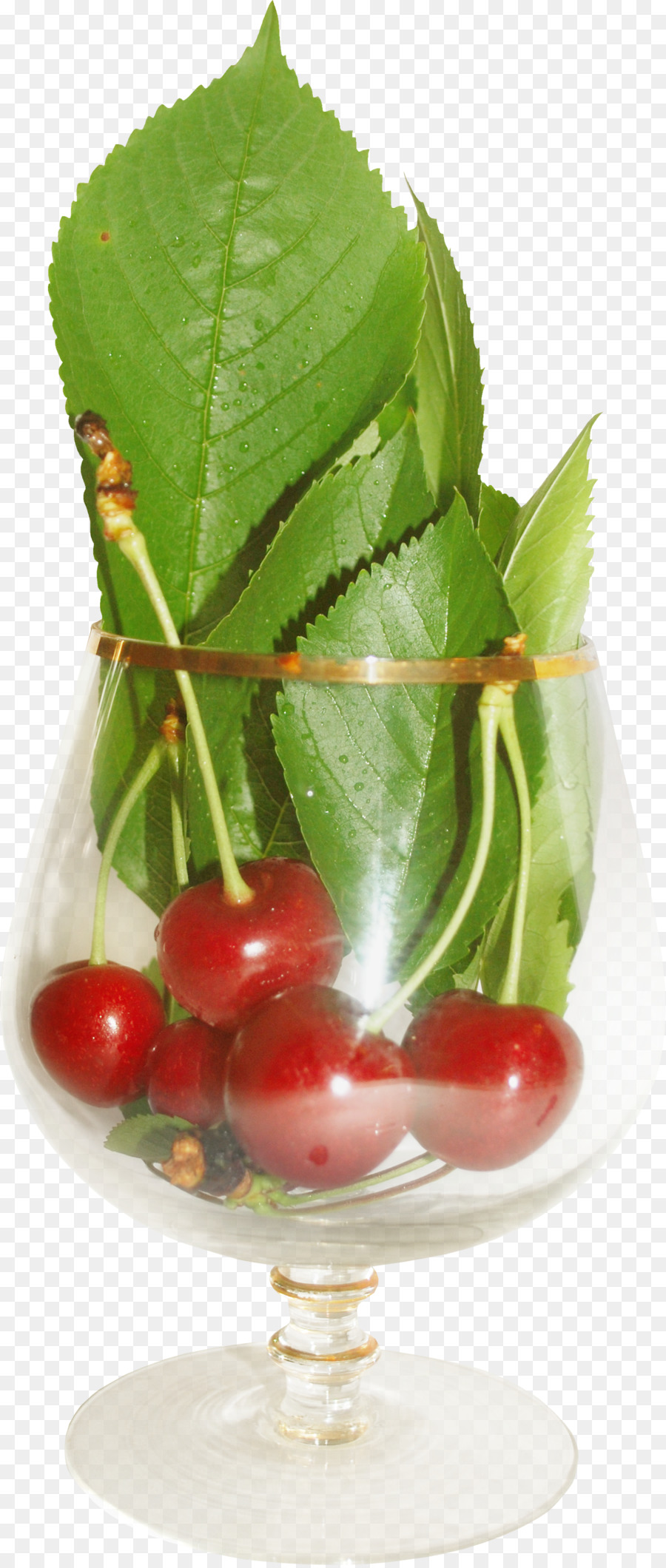 Cherry，Cherry Manis PNG