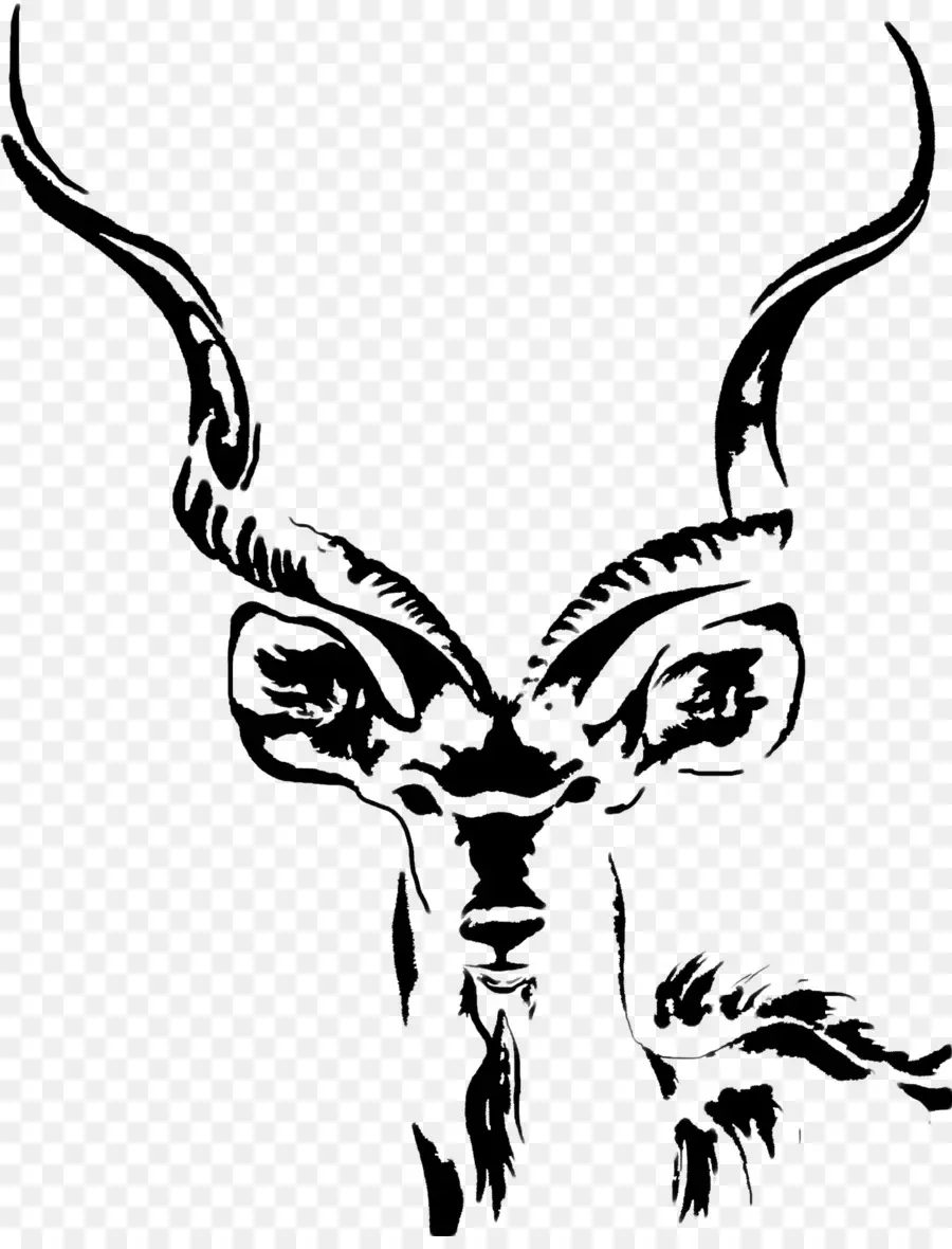 Kudu，Menggambar PNG