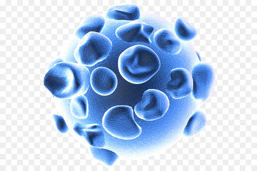 Paling Keren 13 Gambar Virus  Influenza Sugriwa Gambar 