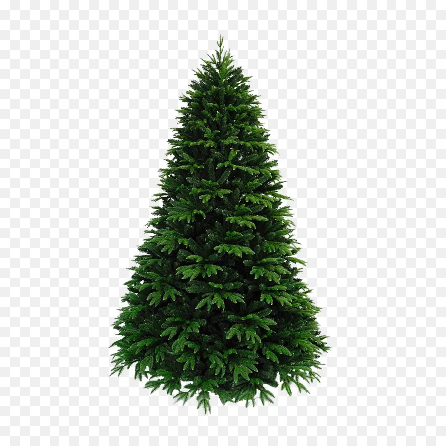 Pohon Natal Buatan，Natal PNG
