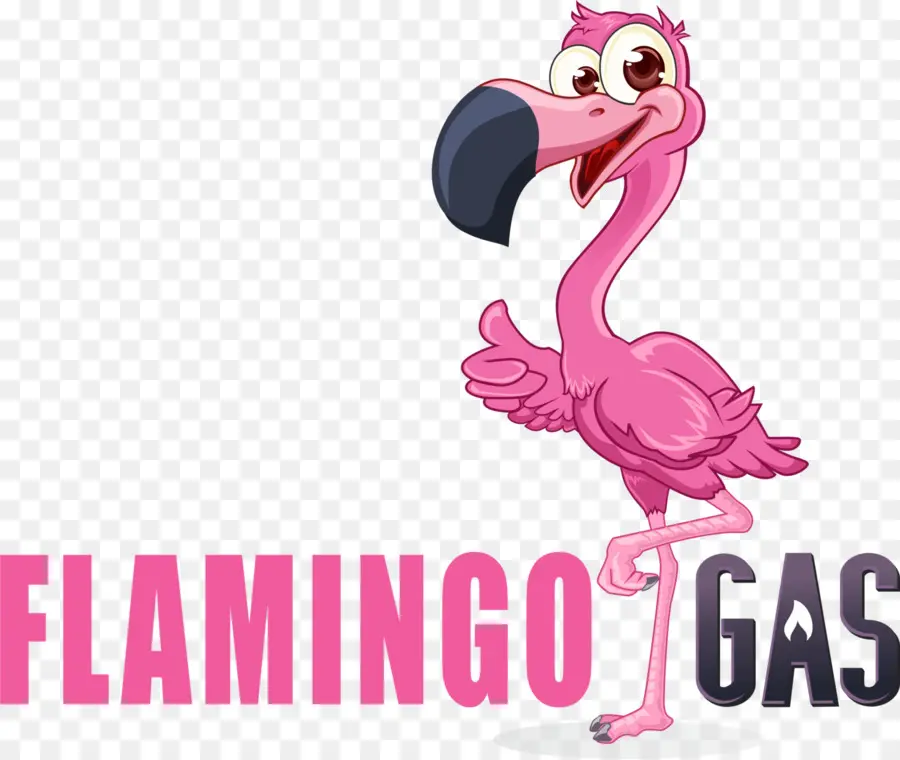 Flamingo，Burung PNG