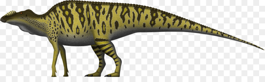 Dinosaurus，Reptil PNG