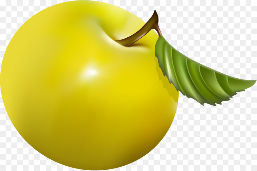 Buah Kuning，Quince PNG