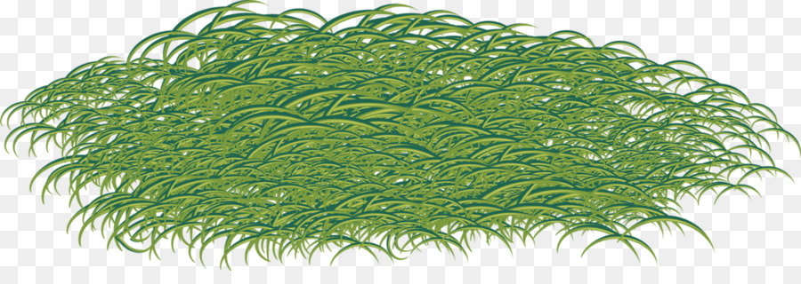 Rumput，Ryegrass PNG