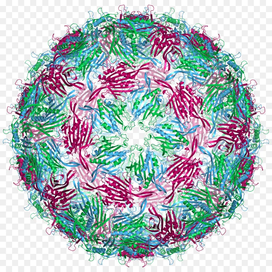 Virus，Mikroorganisme PNG