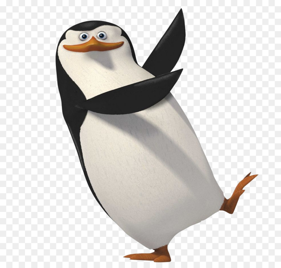 Penguin，Kartun PNG