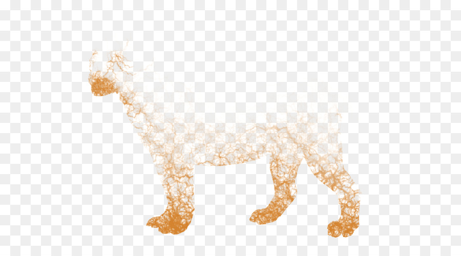 Anjing，Felidae PNG