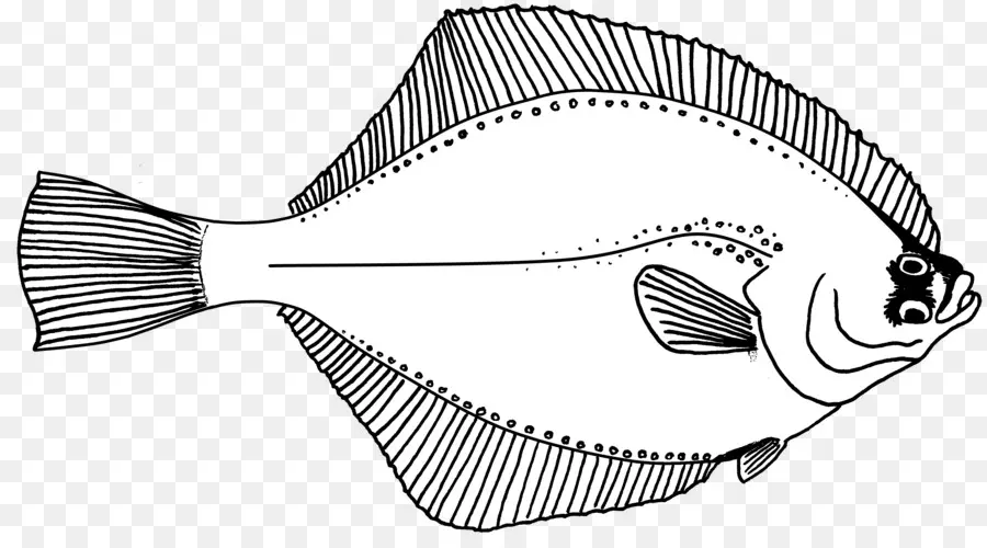 Ikan，Akuatik PNG