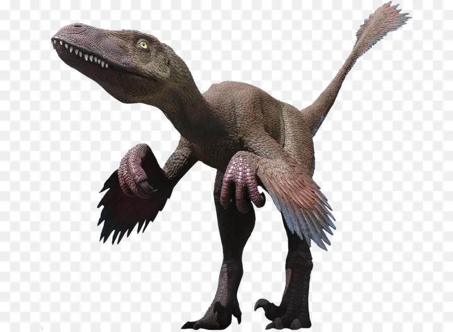 Dinosaurus，Prasejarah PNG