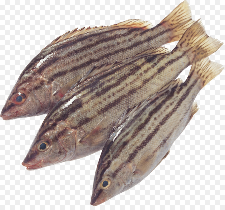 Ikan，Capelin PNG