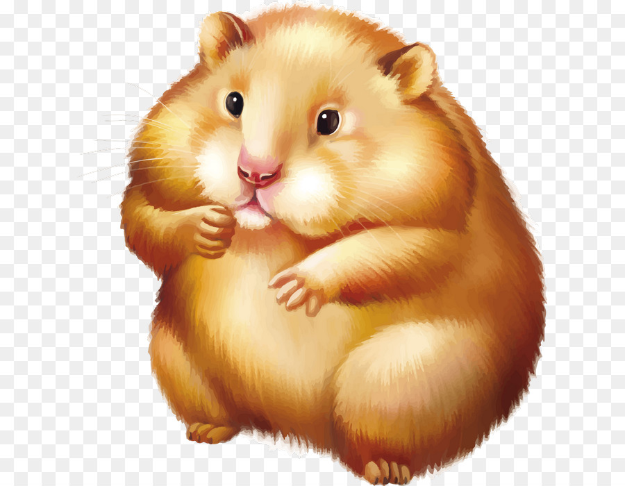 Hamster Yang Lucu，Hewan Pengerat PNG