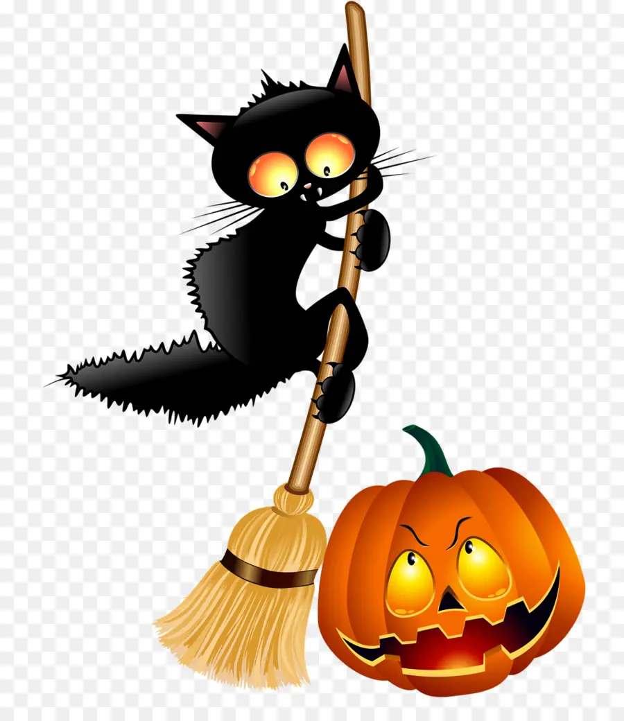 Kucing Dan Labu Halloween，Kucing PNG