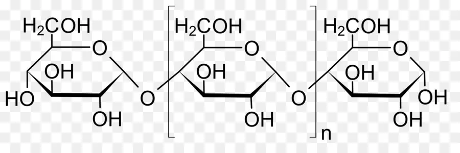 Selulosa，Molekul PNG
