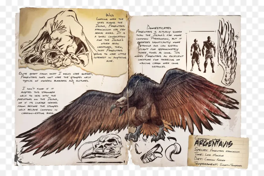 Argentavis，Prasejarah PNG