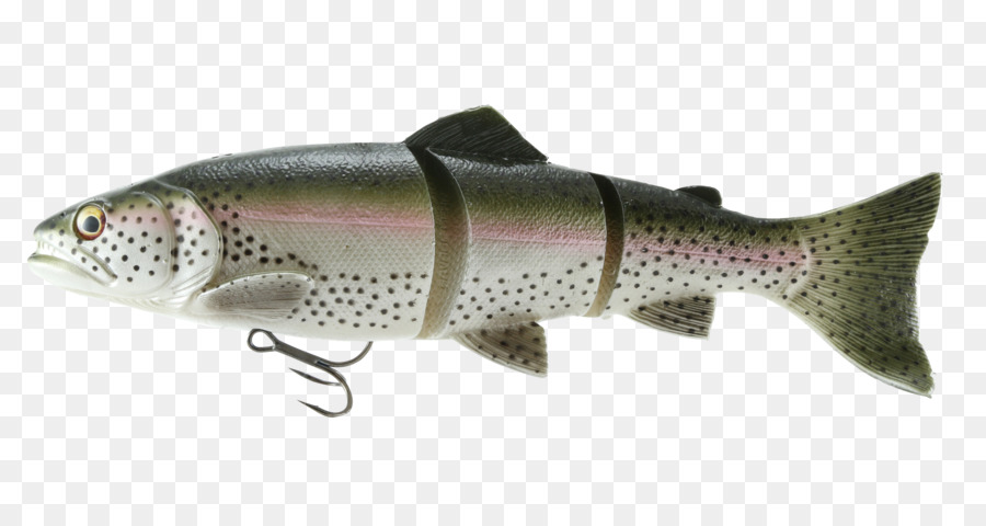 Salmon，Ikan PNG