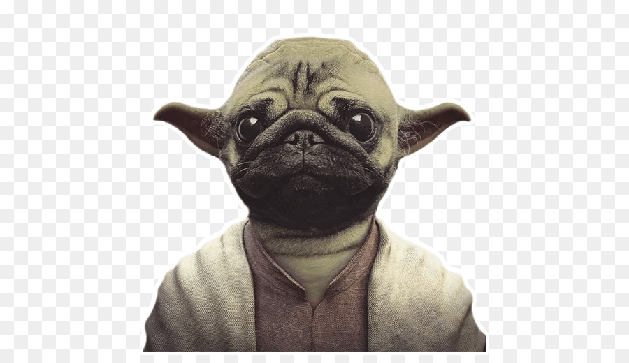 Pug，Iphone 6 Plus PNG