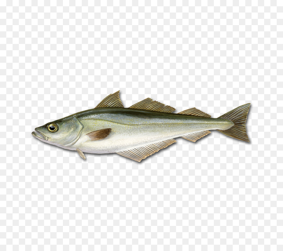 Ikan，Hidangan Laut PNG