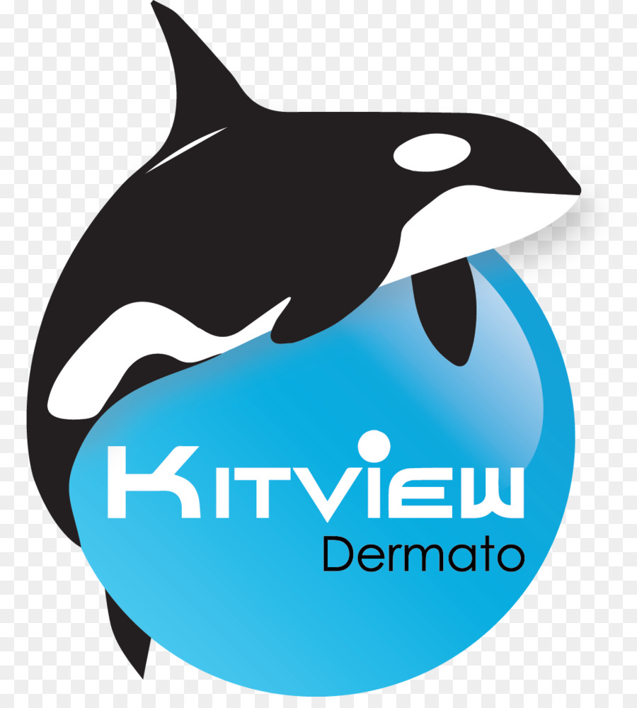 Logo，Komputer PNG