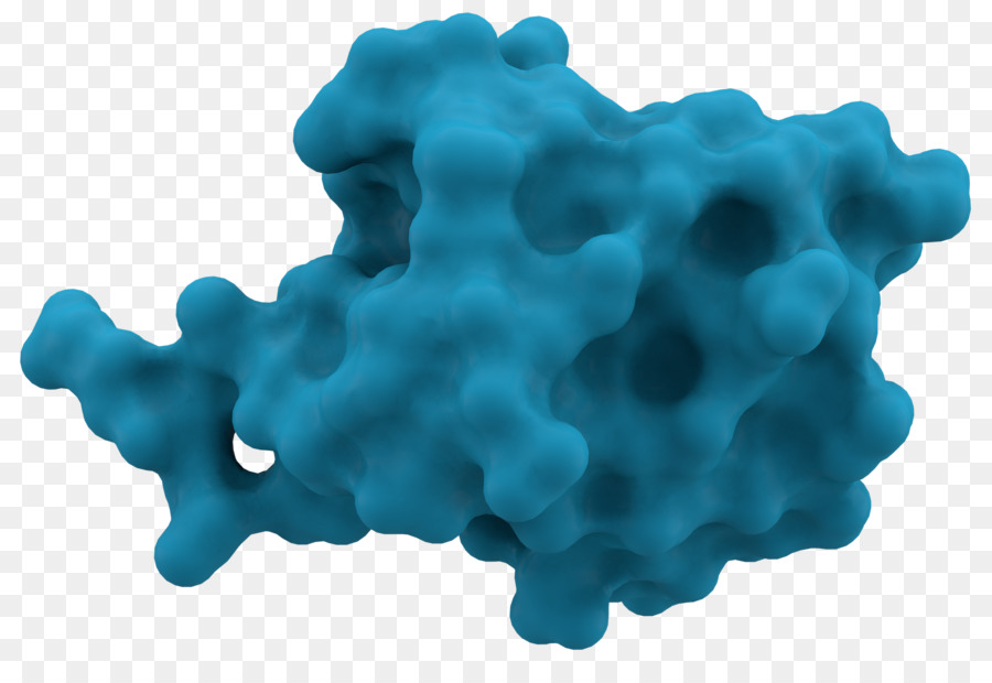 Ubiquitin，Protein PNG