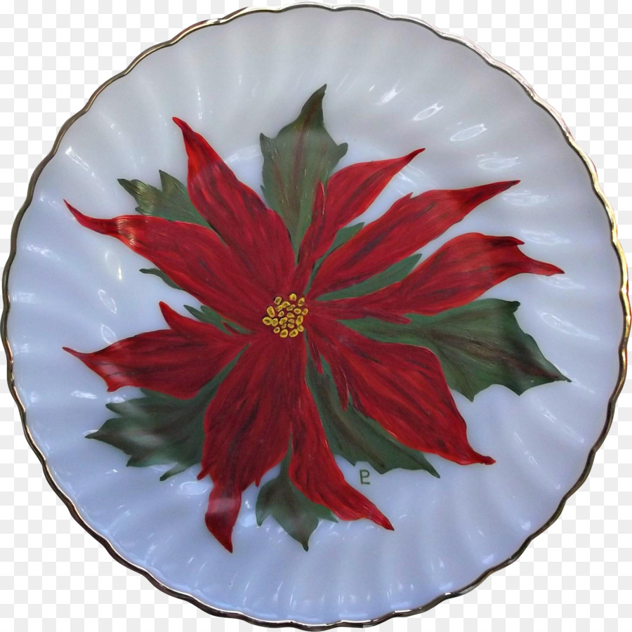 Poinsettia，Bunga PNG