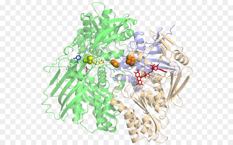 Struktur Protein，Molekul PNG