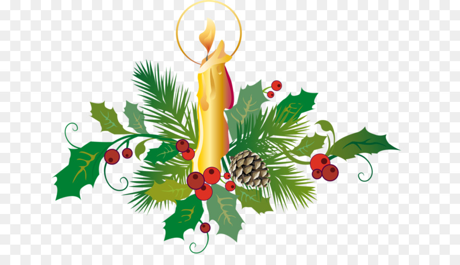 Lilin Natal，Holly PNG