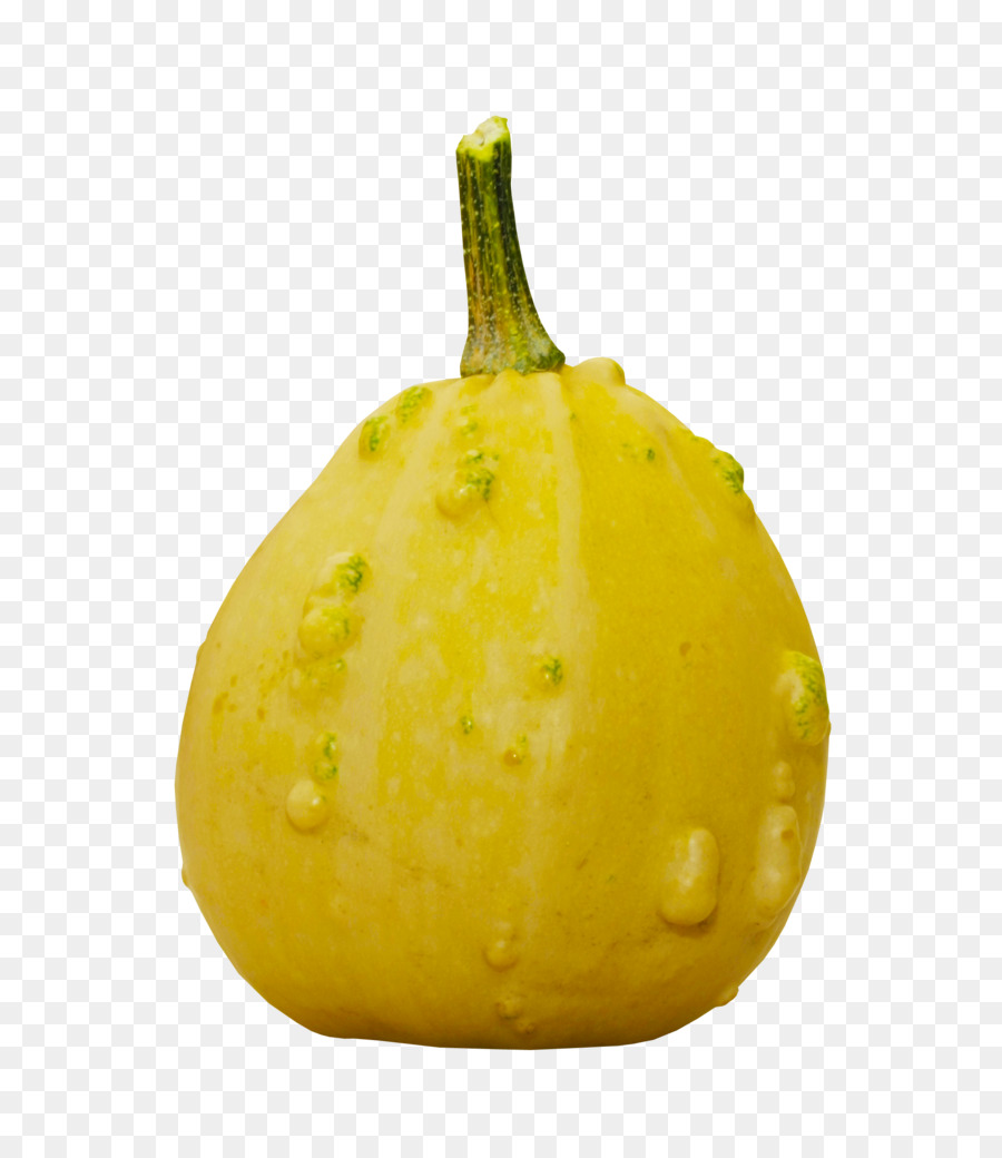 Pattypan Squash，Putih PNG