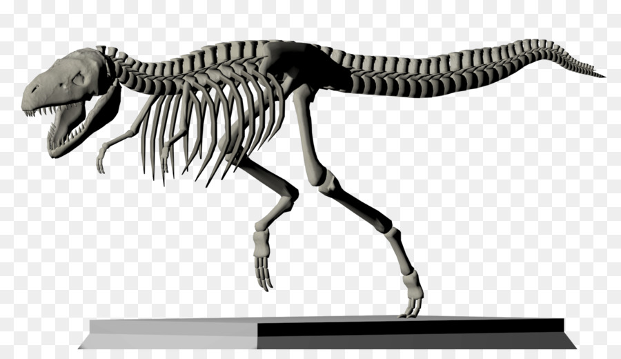 Kerangka Mammoth，Prasejarah PNG