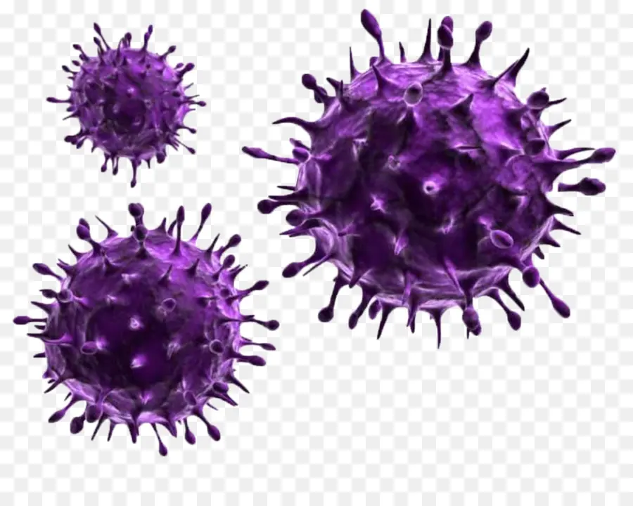 Virus，Influenza PNG