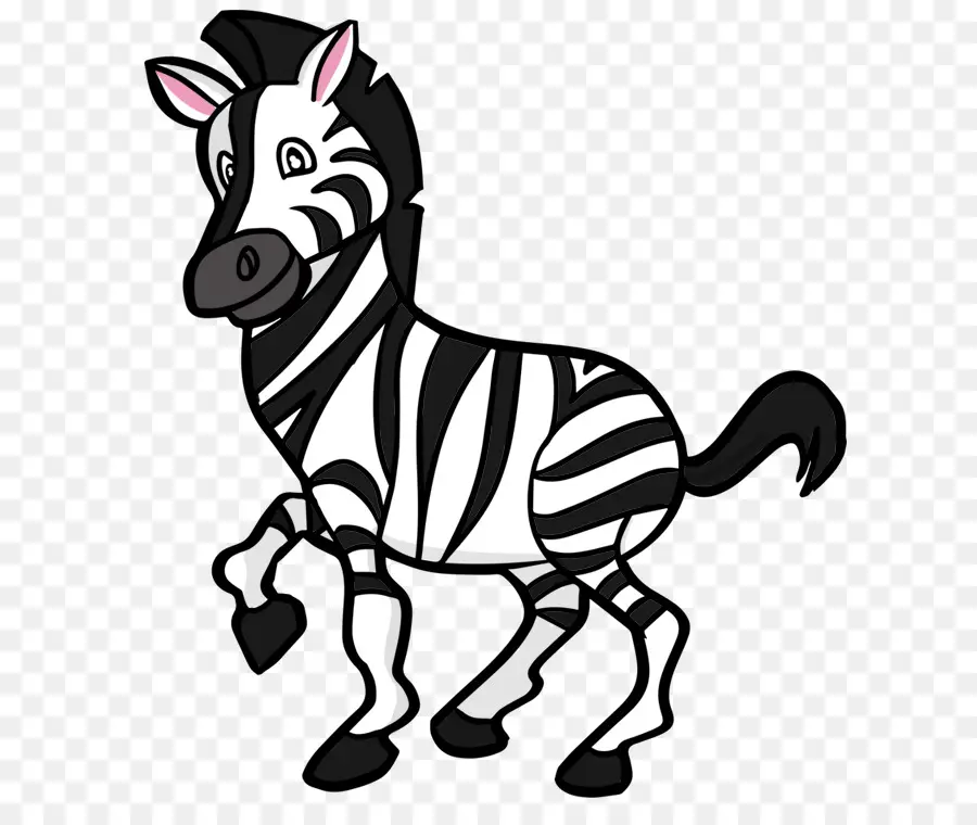 Zebra，Kelucuan PNG