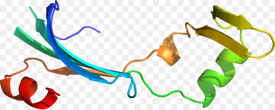 Heliks Protein，Molekul PNG