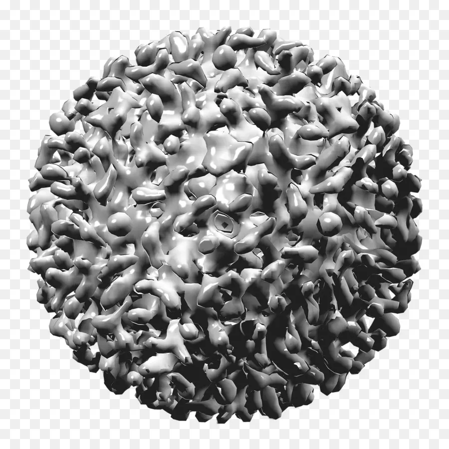 Virus Hepatitis B.，Hepatitis B PNG