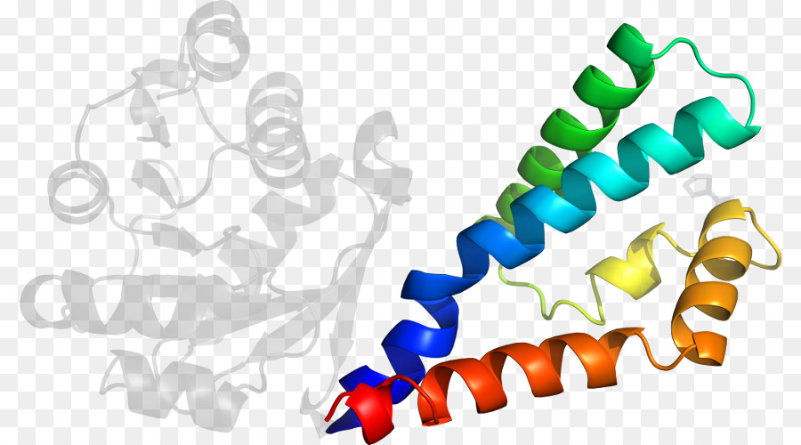 Heliks Protein，Molekul PNG